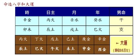 五行齊全|【命理】五行齊全就是好命嗎？ 